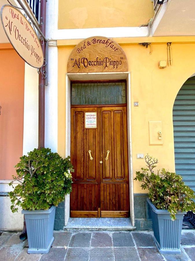 Al Vecchio Pioppo Bed & Breakfast Praia a Mare Exterior foto